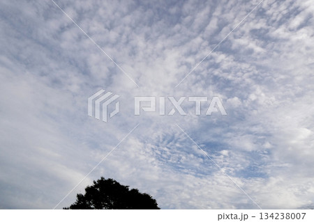秋の気持ちの良いお天気の雲　秋の空に浮かぶ白い雲 134238007