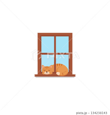 Adorable orange tabby kitten curled sleeping comfortably near the window pane bathed sunlight Adorable orange tabby kitten curled sleeping comfortably near the window pane bathed sunlight 134238143
