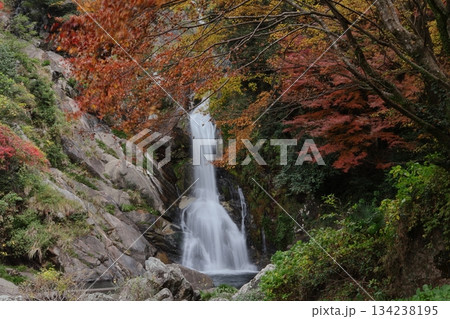 佐賀県唐津市の見返りの滝と紅葉 佐賀県唐津市の見返りの滝と紅葉 134238195