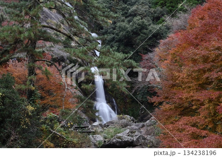 佐賀県唐津市の見返りの滝と紅葉 134238196