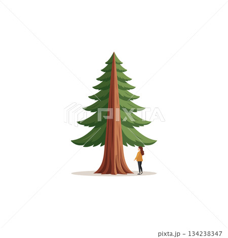 Lone individual contemplating the majesty of towering evergreen a profound reflection on nature's 134238347