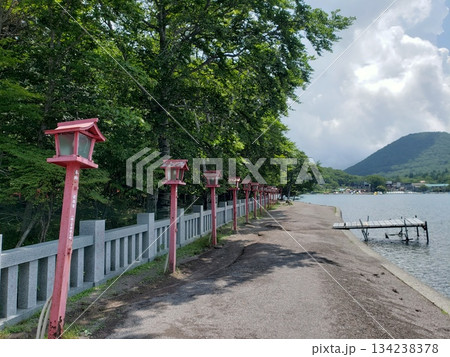 灯篭が並ぶ参道 灯篭が並ぶ参道 134238378