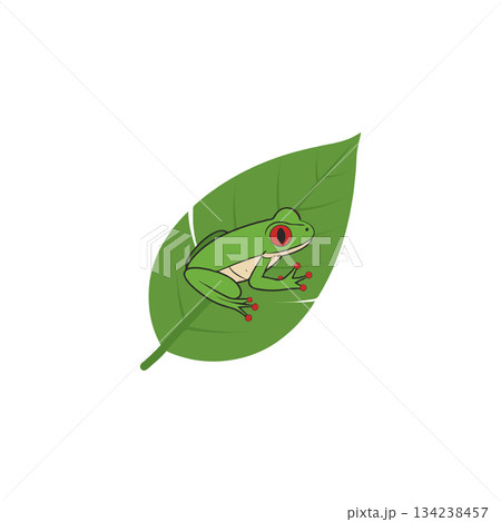 Depiction of a vibrant green frog perched upon a leaf symbolizing nature's wonders with its 134238457