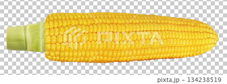 Illustration of corn 134238519