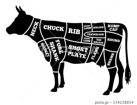 A cow is being cut up into different parts A cow is being cut up into different parts 134238854