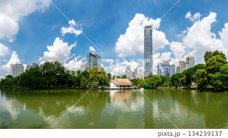 Panoramic view of Bangkok skyline from Lumphini Park, with tall skyscrapers rising above a calm lake surrounded by trees and palms, blending urban energy with peaceful nature. 134239137
