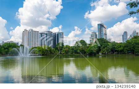 Panoramic view of Bangkok skyline from Lumphini Park, with tall skyscrapers rising above a calm lake surrounded by trees and palms, blending urban energy with peaceful nature. 134239140