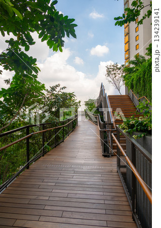 Walkways and wooden paths in Dusit Park on a Bangkok rooftop, surrounded by fresh greenery and offering elevated city views that blend modern design with calm natural space. 134239141