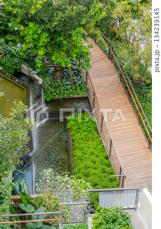 Walkways and wooden paths in Dusit Park on a Bangkok rooftop, surrounded by fresh greenery and offering elevated city views that blend modern design with calm natural space. 134239145