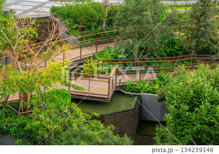 Walkways and wooden paths in Dusit Park on a Bangkok rooftop, surrounded by fresh greenery and offering elevated city views that blend modern design with calm natural space. 134239146