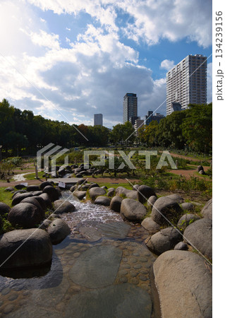 都会の中の公園 134239156