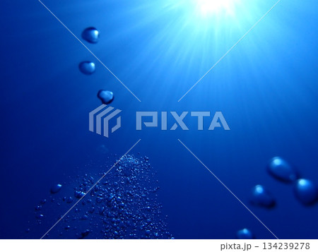 沖縄の海 134239278