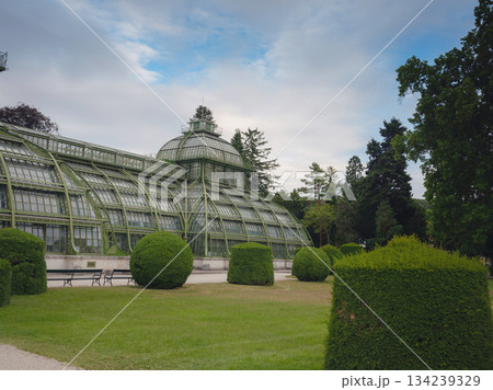 Travel to Vienna, Austria. a beautiful old greenhouse, an orangery in the park of the Schonbrunn Palace, founded in 1882, 134239329