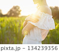 Beautiful woman in white dress standing in summer field during golden sunset in Croatia, warm sunlight, romantic evening mood, natural countryside atmosphere, soft wind and peaceful scene 134239356