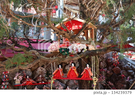 自然と調和する雛人形、木の中に咲くひな祭り 134239379