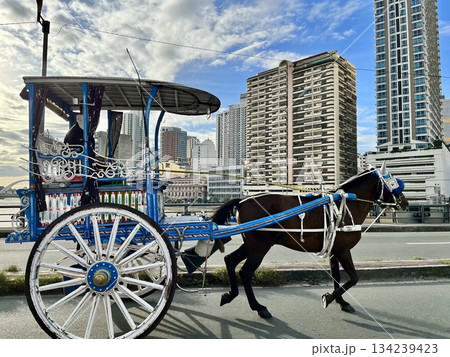 マニラ市内を走る観光用馬車カレッサ 134239423