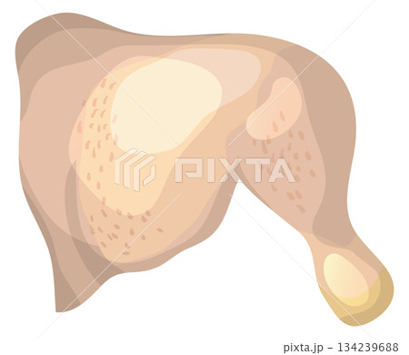 A cartoon chicken with a white background A cartoon chicken with a white background 134239688