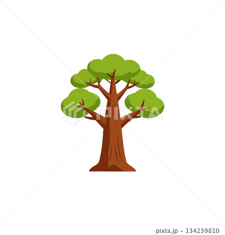 Cartoonish tree illustration showcasing a leafy canopy and sturdy trunk on a clear backdrop a 134239810