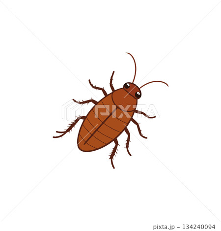 Detailed depiction of a stylized brown cockroach isolated on a clean white background showcasing Detailed depiction of a stylized brown cockroach isolated on a clean white background showcasing 134240094