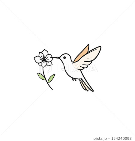 Delicate hummingbird gently hovering while taking sweet nectar from blooming flower illustration Delicate hummingbird gently hovering while taking sweet nectar from blooming flower illustration 134240098