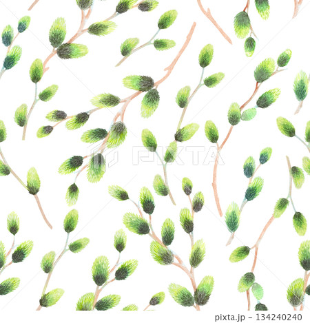 Seamless pattern of willows branches. Watercolor illustration. For fabric, wallpaper, packing paper, greeting cards, design, decoration and illustration. 134240240