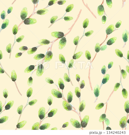 Seamless pattern of willows branches on a beige background. Watercolor illustration. For fabric, wallpaper, packing paper, greeting cards, design, decoration and illustration. 134240243