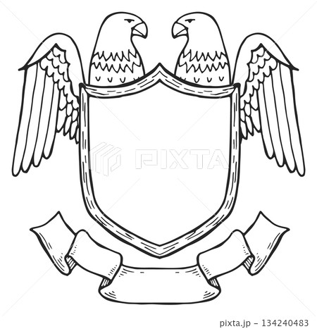 The eagle is on the shield 134240483