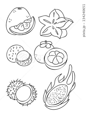 Hand drawn cutaway tropical fruits set with starfruit orange mangosteen rambutan and dragon fruit isolated on white background. This illustration represents exotic food variety healthy nutrition 134240651