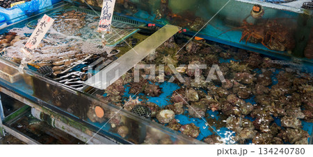 水産市場の生け簀に並ぶ貝類の販売風景 134240780