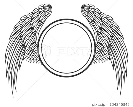 The wings of a bird are drawn in black and white 134240843
