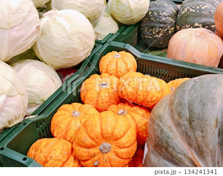 Fresh vegetables at farmers market. Close-up of fresh organic pumpkins, squash, cabbage and other autumn vegetables displayed in crates at local farmers market. Fresh vegetables at farmers market. Close-up of fresh organic pumpkins, squash, cabbage and other autumn vegetables displayed in crates at local farmers market. 134241341