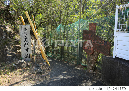 徳島県美波町　恵比須洞　入口 134241570