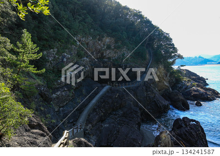 徳島県美波町　恵比須洞　遊歩道 134241587