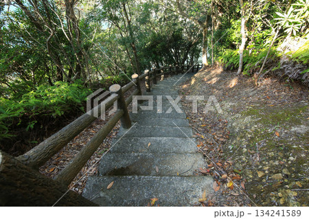 徳島県美波町　恵比須洞　遊歩道 134241589