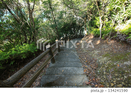 徳島県美波町　恵比須洞　遊歩道 134241590