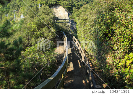 徳島県美波町　恵比須洞　遊歩道 134241591