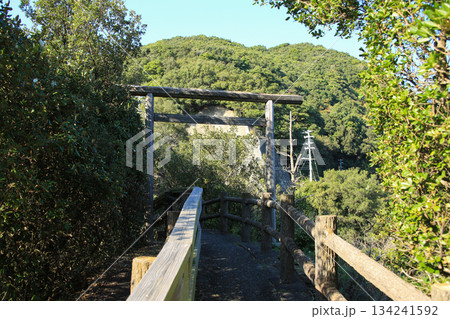 徳島県美波町　恵比須洞　遊歩道 134241592