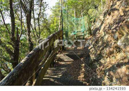徳島県美波町　恵比須洞　遊歩道 134241593