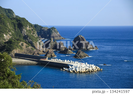 徳島県美波町　恵比須洞　遊歩道からの風景 134241597