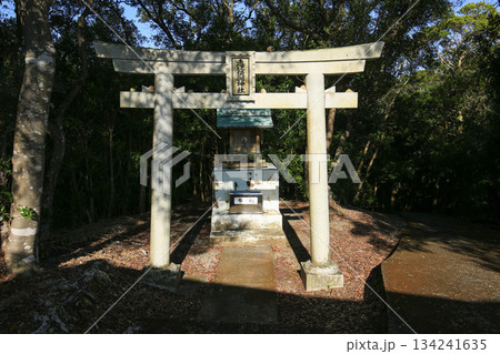 徳島県美波町　恵比須洞神社 134241635