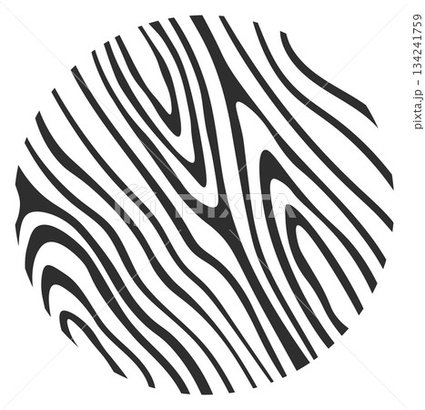 A black and white image of a zebra print A black and white image of a zebra print 134241759