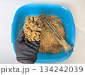 Plumber hand holding limescale residue with boiler heating element and scale deposits in the background after water heater cleaning, hard water damage 134242039