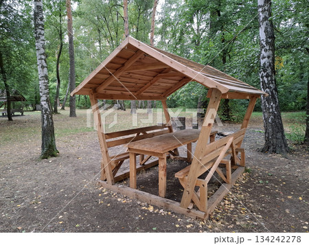 Wooden gazebo for relaxing in a wood between a birch 134242278