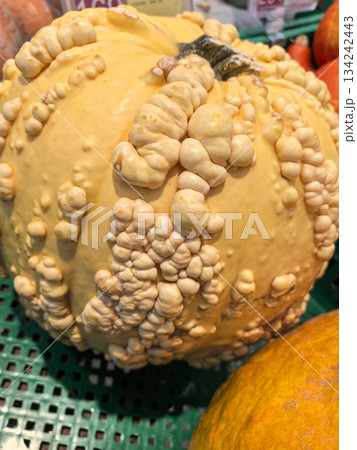 Unusual gourd with unique texture displays nature's creativity Unusual gourd with unique texture displays nature's creativity 134242443