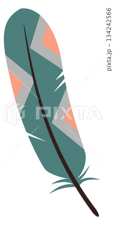 Bird feather. Color wing quill decorative pattern 134242566