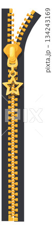 Golden zipper with star slider. Clothes metallic clasp 134243169