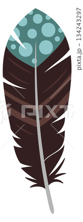 Ink feather. Decorative bird plumage with folk pattern Ink feather. Decorative bird plumage with folk pattern 134243297