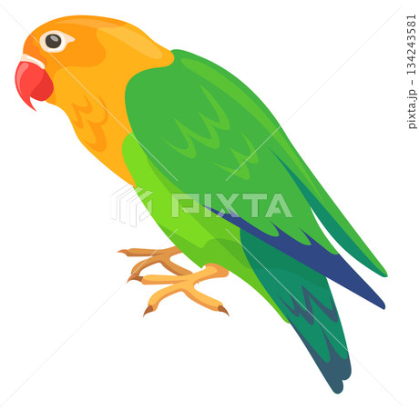 Exotic parrot. Colorful wild bird. Tropical fauna Exotic parrot. Colorful wild bird. Tropical fauna 134243581
