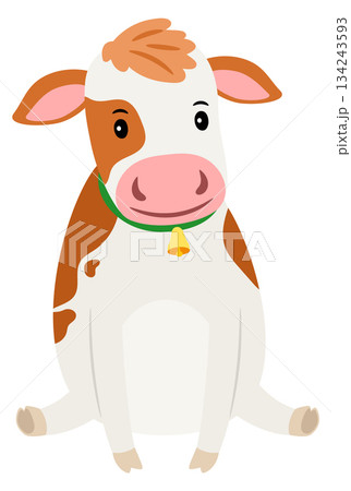 Cute cow baby with bell on neck. Cartoon happy animal Cute cow baby with bell on neck. Cartoon happy animal 134243593