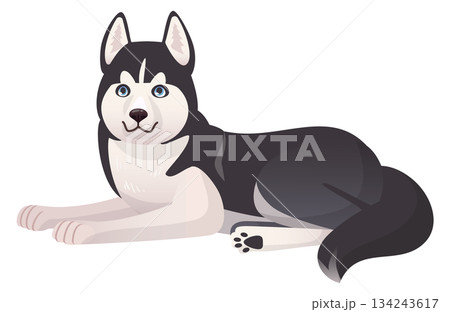 Laying husky cartoon mascot. Cute pet dog 134243617